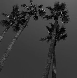 Meet your Posher, Gwen